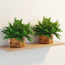 Artificial Plant Leaves with Wooden Pot - Set of 2 for Indoor Home Office D‚cor: Realistic, Easy to Maintain Faux Desk Plant