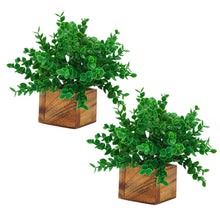 Artificial Plant Leaves with Wooden Pot - Set of 2 for Indoor Home Office D‚cor: Realistic, Easy to Maintain Faux Desk Plant