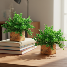 Artificial Plant Leaves with Wooden Pot - Set of 2 for Indoor Home Office D‚cor: Realistic, Easy to Maintain Faux Desk Plant