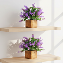 Artificial Plant Leaves with Wooden Pot - Set of 2 for Indoor Home Office D‚cor: Realistic, Easy to Maintain Faux Desk Plant