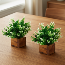 Artificial Plant Leaves with Wooden Pot - Set of 2 for Indoor Home Office D‚cor: Realistic, Easy to Maintain Faux Desk Plant