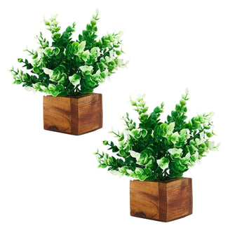 Artificial Plant Leaves with Wooden Pot - Set of 2 for Indoor Home Office D‚cor: Realistic, Easy to Maintain Faux Desk Plant