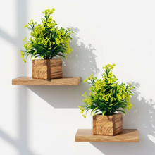 Artificial Plant Leaves with Wooden Pot - Set of 2 for Indoor Home Office D‚cor: Realistic, Easy to Maintain Faux Desk Plant