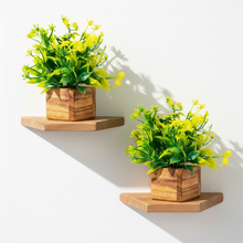 Artificial Plant Leaves with Wooden Pot - Set of 2 for Indoor Home Office D‚cor: Realistic, Easy to Maintain Faux Desk Plant