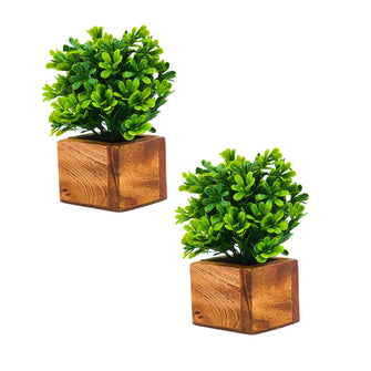 Artificial Plant Leaves with Wooden Pot - Set of 2 for Indoor Home Office D‚cor: Realistic, Easy to Maintain Faux Desk Plant