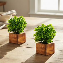 Artificial Plant Leaves with Wooden Pot - Set of 2 for Indoor Home Office D‚cor: Realistic, Easy to Maintain Faux Desk Plant