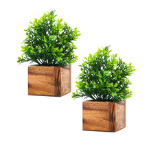 Artificial Plant Leaves with Wooden Pot - Set of 2 for Indoor Home Office D‚cor: Realistic, Easy to Maintain Faux Desk Plant