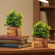 Artificial Plant Leaves with Wooden Pot - Set of 2 for Indoor Home Office D‚cor: Realistic, Easy to Maintain Faux Desk Plant