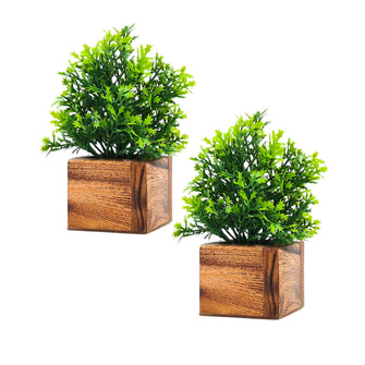 Artificial Plant Leaves with Wooden Pot - Set of 2 for Indoor Home Office D‚cor: Realistic, Easy to Maintain Faux Desk Plant