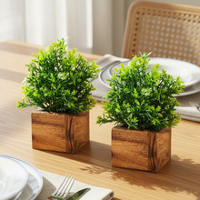 Artificial Plant Leaves with Wooden Pot - Set of 2 for Indoor Home Office D‚cor: Realistic, Easy to Maintain Faux Desk Plant