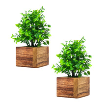 Artificial Plant Leaves with Wooden Pot - Set of 2 for Indoor Home Office D‚cor: Realistic, Easy to Maintain Faux Desk Plant