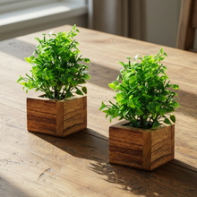 Artificial Plant Leaves with Wooden Pot - Set of 2 for Indoor Home Office D‚cor: Realistic, Easy to Maintain Faux Desk Plant