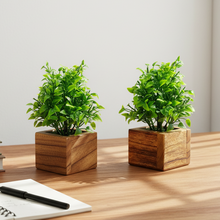 Artificial Plant Leaves with Wooden Pot - Set of 2 for Indoor Home Office D‚cor: Realistic, Easy to Maintain Faux Desk Plant