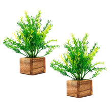 Artificial Plant Leaves with Wooden Pot - Set of 2 for Indoor Home Office D‚cor: Realistic, Easy to Maintain Faux Desk Plant