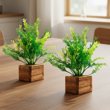 Artificial Plant Leaves with Wooden Pot - Set of 2 for Indoor Home Office D‚cor: Realistic, Easy to Maintain Faux Desk Plant