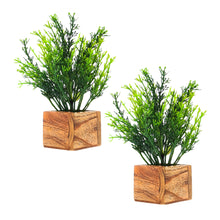 Artificial Plant Leaves with Wooden Pot - Set of 2 for Indoor Home Office D‚cor: Realistic, Easy to Maintain Faux Desk Plant