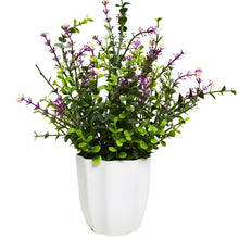 Artificial Plant Hackleberry Leaves in Pot Perfect Potted Decoration for Home Living Room & Office Spaces Height - 30cm