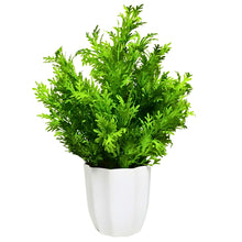 Artificial Plant Parsley Leaves in Pot Perfect Potted Decoration for Home Living Room & Office Spaces Height - 30cm