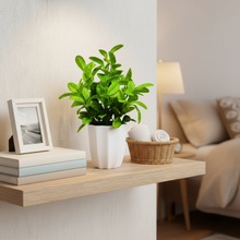 Artificial Plant Citrus Leaves in Pot Perfect Potted Decoration for Home Living Room & Office Spaces Height - 30cm