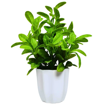 Artificial Plant Citrus Leaves in Pot Perfect Potted Decoration for Home Living Room & Office Spaces Height - 30cm