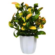 fancymart Artificial Plant Citrus Orange Leaves in Pot Perfect Potted Decoration for Home Living Room & Office Spaces Height - 30cm