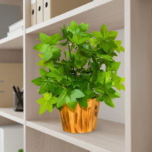 Artificial Real Touch Plant Leaves in Wood Pot (Height 30 cm)