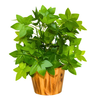 Artificial Real Touch Plant Leaves in Wood Pot (Height 30 cm)