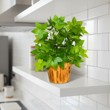 Artificial Real Touch Plant Leaves in Wood Pot (Height 30 cm)