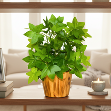 Artificial Real Touch Plant Leaves in Wood Pot (Height 30 cm)