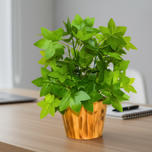 Artificial Real Touch Plant Leaves in Wood Pot (Height 30 cm)