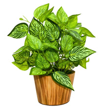 Artificial Real Touch Plant Leaves in Wood Pot (Height 30 cm)
