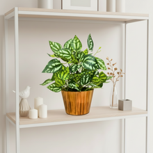 Artificial Real Touch Plant Leaves in Wood Pot (Height 30 cm)