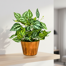 Artificial Real Touch Plant Leaves in Wood Pot (Height 30 cm)