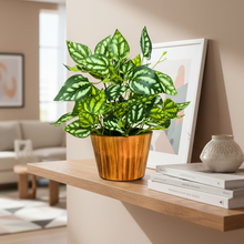 Artificial Real Touch Plant Leaves in Wood Pot (Height 30 cm)