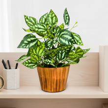 Artificial Real Touch Plant Leaves in Wood Pot (Height 30 cm)