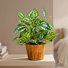 Artificial Real Touch Plant Leaves in Wood Pot (Height 30 cm)