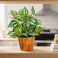 Artificial Real Touch Plant Leaves in Wood Pot (Height 30 cm)