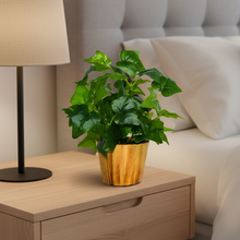 Artificial Real Touch Plant Leaves in Wood Pot (Height 30 cm)