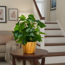 Artificial Real Touch Plant Leaves in Wood Pot (Height 30 cm)