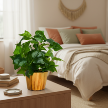 Artificial Real Touch Plant Leaves in Wood Pot (Height 30 cm)