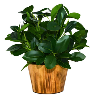 Artificial Real Touch Plant Leaves in Wood Pot (Height 30 cm)