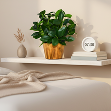 Artificial Real Touch Plant Leaves in Wood Pot (Height 30 cm)