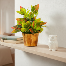 Artificial Real Touch Plant Leaves in Wood Pot (Height 30 cm)