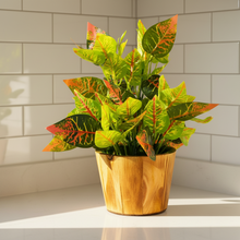 Artificial Real Touch Plant Leaves in Wood Pot (Height 30 cm)