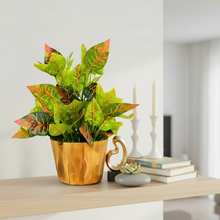 Artificial Real Touch Plant Leaves in Wood Pot (Height 30 cm)