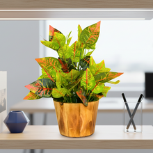 Artificial Real Touch Plant Leaves in Wood Pot (Height 30 cm)