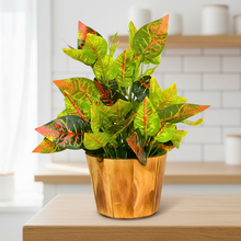 Artificial Real Touch Plant Leaves in Wood Pot (Height 30 cm)