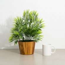 Artificial Leaves Plant in Wood Pot (Height 30 cm)