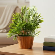 Artificial Leaves Plant in Wood Pot (Height 30 cm)