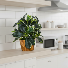 Artificial Leaves Plant in Wood Pot (Height 30 cm)
